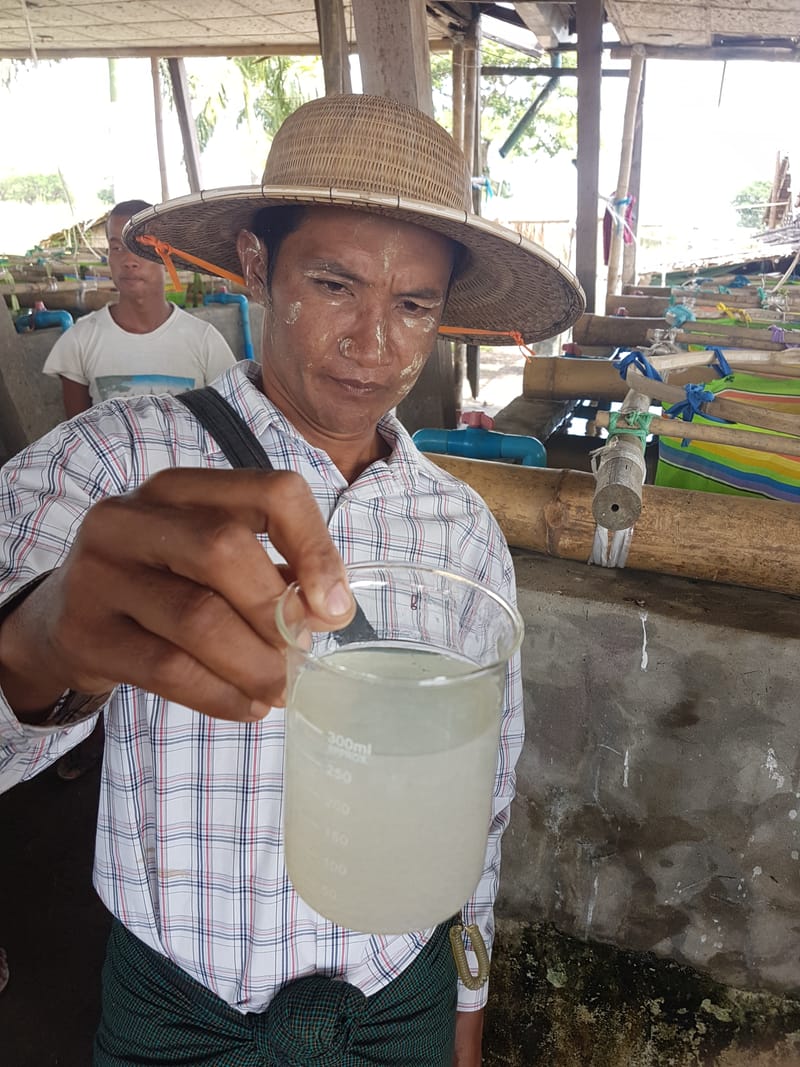 Empowering Myanmar’s Aquaculture Entrepreneurs for World Fish
